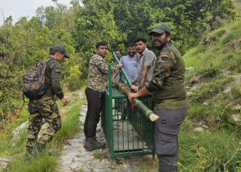 बणासी गांव में महिला पर गुलदार के हमले के बाद वन विभाग अलर्ट, ड्रोन व ट्रैप कैमरों से की जा रही निगरानी