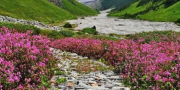 फूलों की घाटी से 26वर्षीय सॉफ्टवेयर इंजीनियर लापता