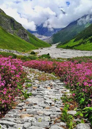फूलों की घाटी से 26वर्षीय सॉफ्टवेयर इंजीनियर लापता