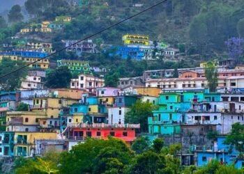 कुत्तों के आतंक से नारायणबगड़ के 10 स्कूल बंद, चार दिन का अवकाश