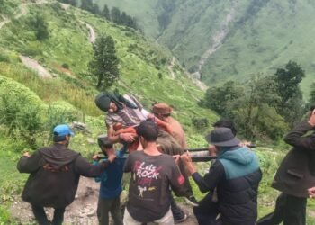 भालू के हमले से एक घायल, डंडी कंडी से पहुंचाया अस्पताल- सड़क बंद होने से घायल को अस्पताल पहुंचाने में उठानी पड़ी परेशानी