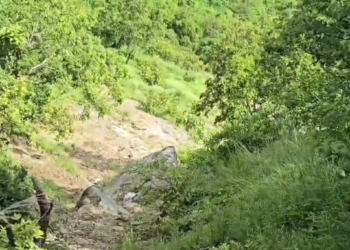 पौड़ी,देवप्रयाग मोटरमार्ग पर दर्दनाक वाहन हादसा,पाँच की मौत..