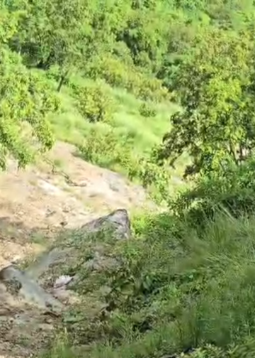 पौड़ी,देवप्रयाग मोटरमार्ग पर दर्दनाक वाहन हादसा,पाँच की मौत..