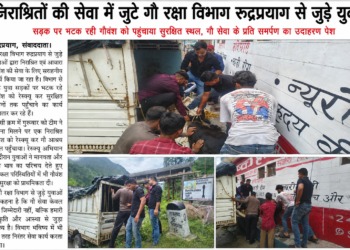 दूध बंद हुआ तो सड़क पर छोड़ दिया, गौवंश पर सितम के खिलाफ अभियान,राजमार्ग और लिंक मार्गों से 25 गौवंश रेस्क्यू, पपड़ासू गौशाला में संरक्षण,गौवंश को सड़कों और जंगलों में छोड़ने वालों के खिलाफ कार्रवाई की उठी मांग