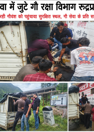 दूध बंद हुआ तो सड़क पर छोड़ दिया, गौवंश पर सितम के खिलाफ अभियान,राजमार्ग और लिंक मार्गों से 25 गौवंश रेस्क्यू, पपड़ासू गौशाला में संरक्षण,गौवंश को सड़कों और जंगलों में छोड़ने वालों के खिलाफ कार्रवाई की उठी मांग