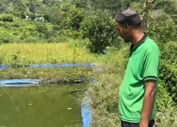 सात तालाबों से सालाना तीन लाख की बचत, तीन महिलाओं को भी मिला रोजगार