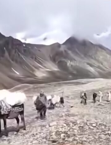 सीमा पार -भारत-चीन व्यापार, तीसरे बैच में 10 लोगों ने किया चीन में प्रवेश! 23.63 लाख रुपये का सामान लेकर पहुंचे 6 व्यापारी और 4 हेल्पर, पूर्ववर्ती बैचों के 9 व्यापारी लौटे भारत