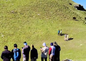 तुंगनाथ ट्रेक पर खाई में गिरी महिला का शव बरामद