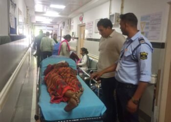 एकेश्वर में घास काटने गई महिला पर गुलदार का हमला, गाल-जवड़े और पीठ पर आई चोटें